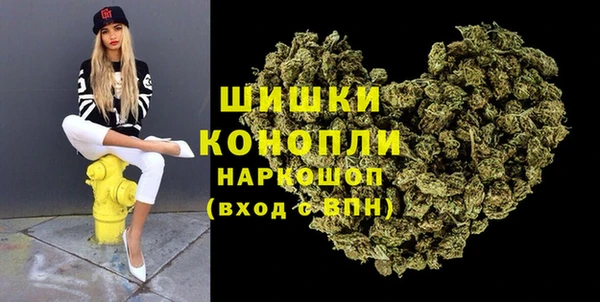 mix Богородицк