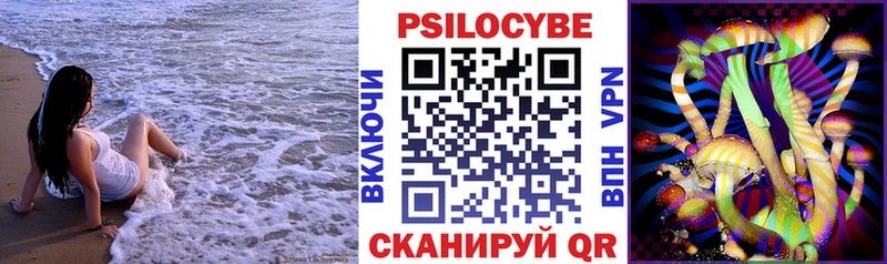 где можно купить   Кохма  Псилоцибиновые грибы Magic Shrooms 