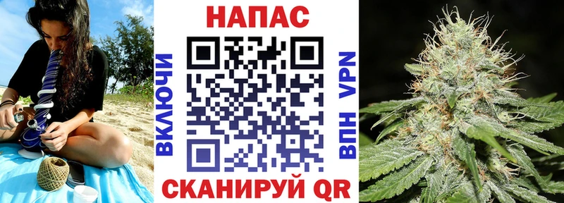 Конопля планчик Кохма